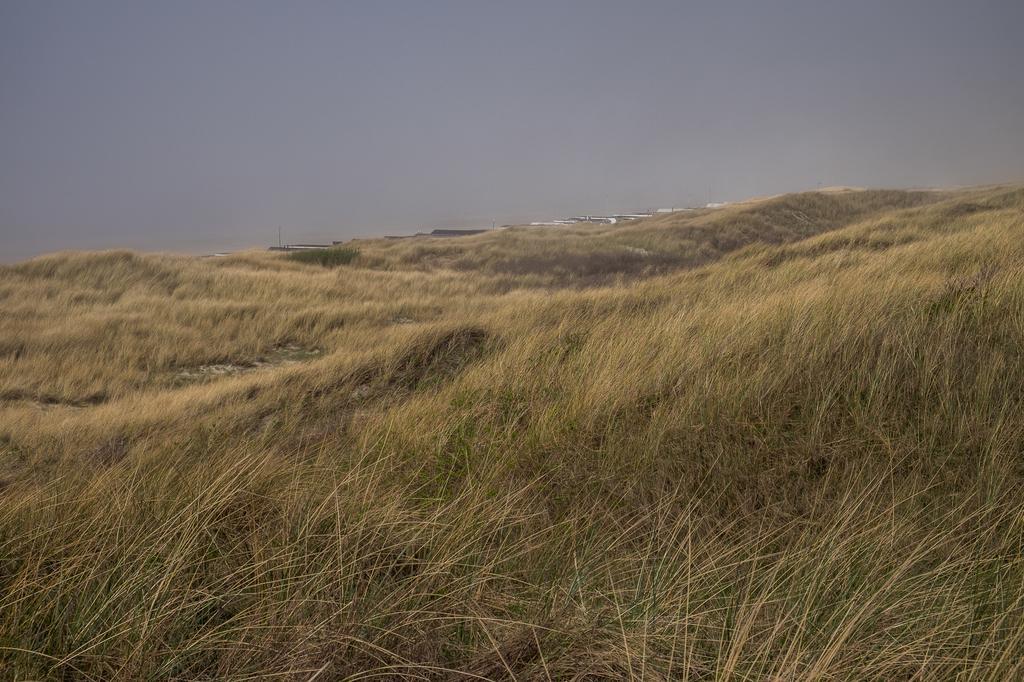 Wijkiki Surf House Appartamento Wijk aan Zee